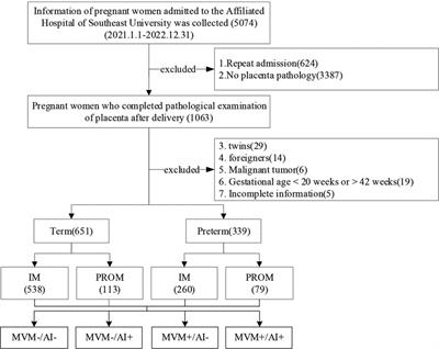 Relationship between placental pathology and neonatal outcomes